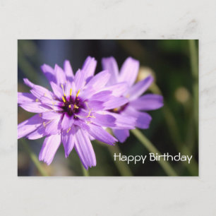 Postal Feliz cumpleaños, elegante flor de margarita púrpu