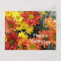 Feliz cumpleaños, flor de margarita roja, amarilla