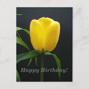 Postal feliz cumpleaños flor de tulipán amarillo