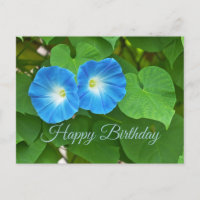 Feliz cumpleaños flores de gloria de la mañana azu