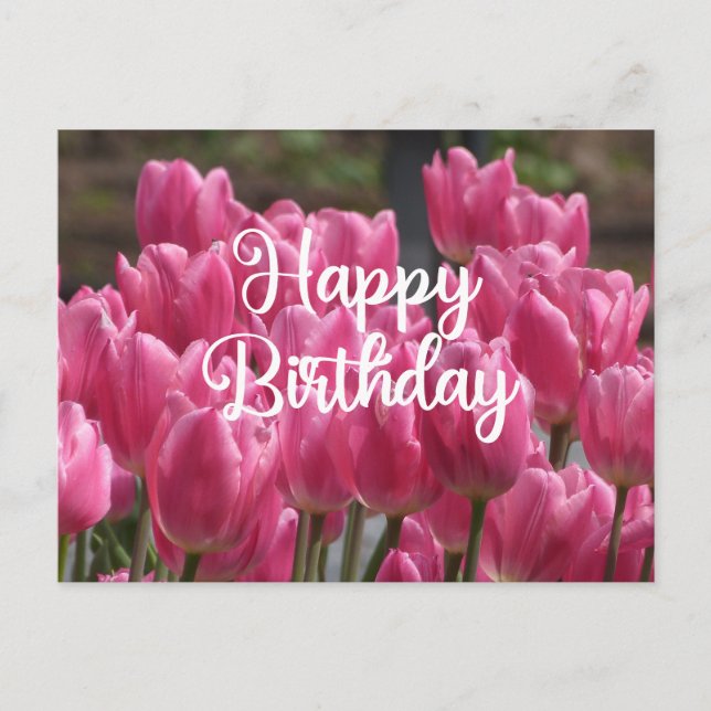 Postal Feliz Cumpleaños Flores de Tulipán Rosa  (Anverso)