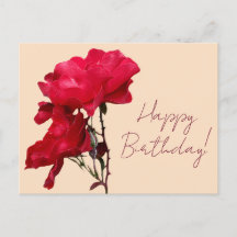 Feliz cumpleaños, flores rojas rojas boho bonito f
