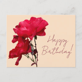Postal Feliz cumpleaños, flores rojas rojas boho bonito f