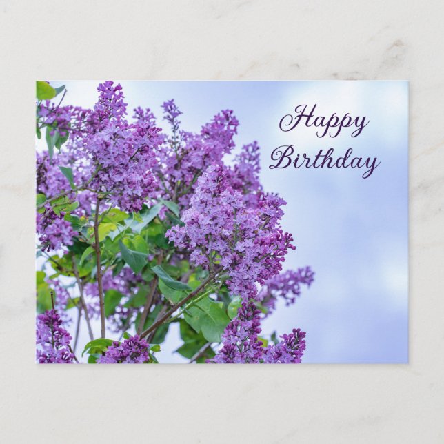 Postal Feliz cumpleaños Flores violetas púrpuras de Lilac (Anverso)