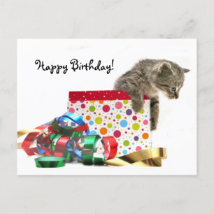 Postal Feliz cumpleaños gatito