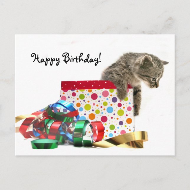 Postal Feliz cumpleaños gatito (Anverso)