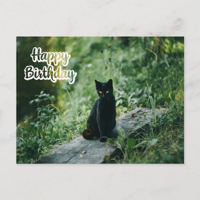 Postal Feliz cumpleaños, gato negro al aire libre (Anverso)