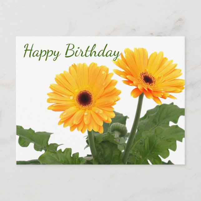 Postal Feliz cumpleaños Gerbera Daisy Naranja Flores verd (Anverso)