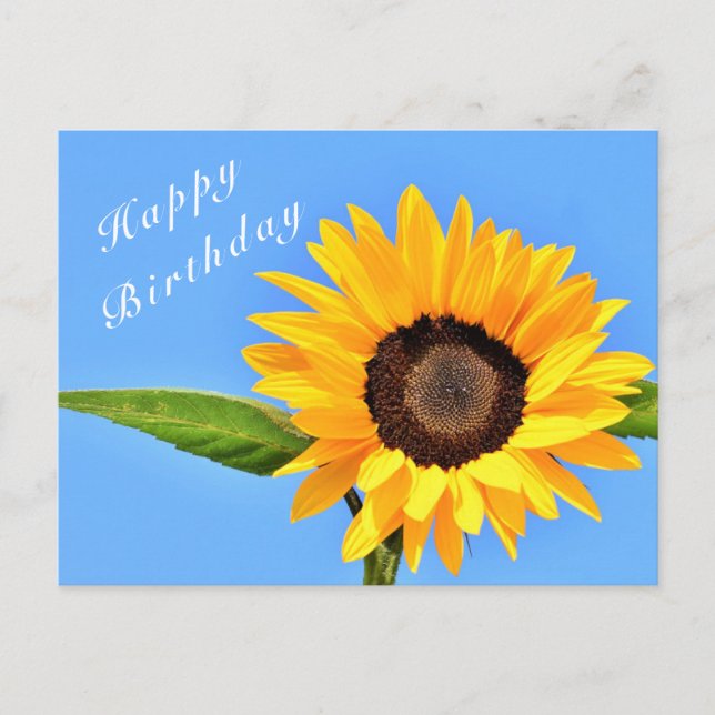 Postal Feliz cumpleaños - girasol amarillo en cielo azul (Anverso)