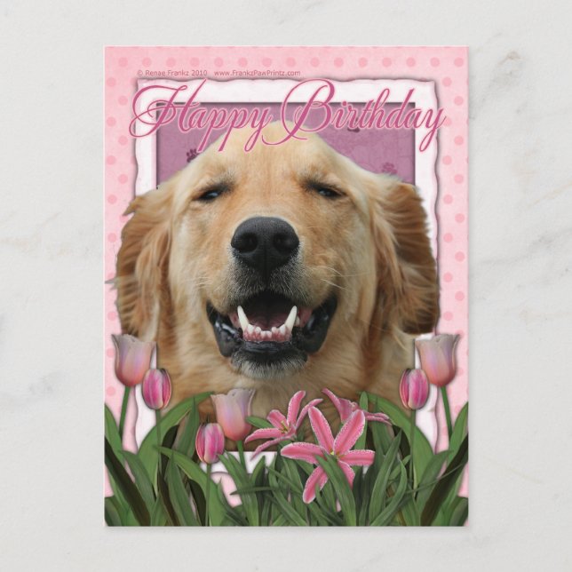 Postal Feliz cumpleaños - Golden Retriever - Mickey (Anverso)