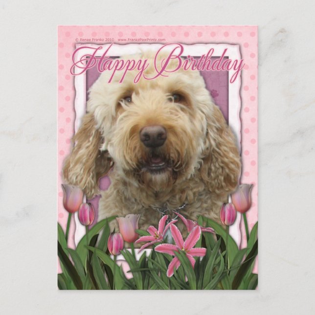 Postal Feliz cumpleaños - Goldendoodle (Anverso)