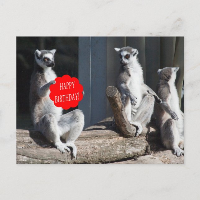 Postal Feliz cumpleaños Katta (Anverso)