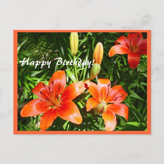 Postal Feliz cumpleaños Lilies (Anverso)