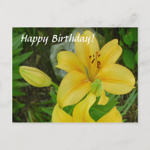 Postal Feliz cumpleaños Lily