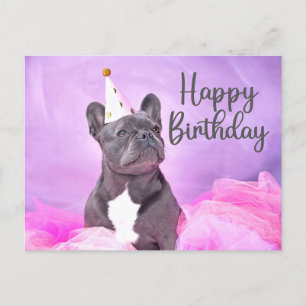 Postal Feliz Cumpleaños Lindo Perro Bulldog Francés Diver