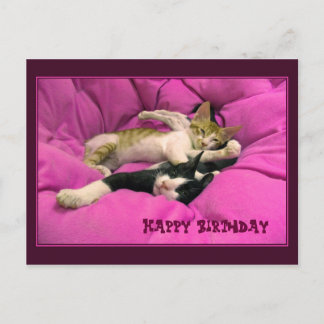Postal Feliz cumpleaños, lindos gatos