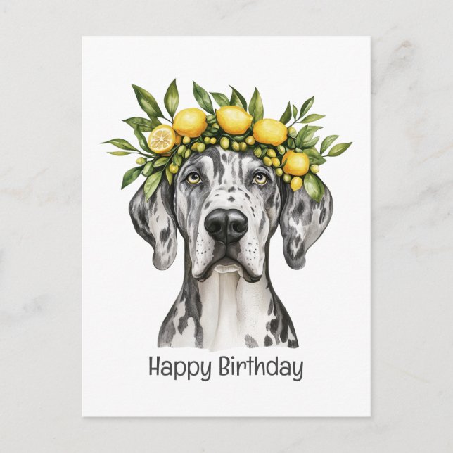 Postal Feliz Cumpleaños Merle Gran Danés Perro Corona de  (Anverso)