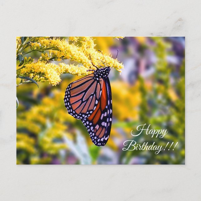 Postal feliz cumpleaños monarca mariposa (Anverso)