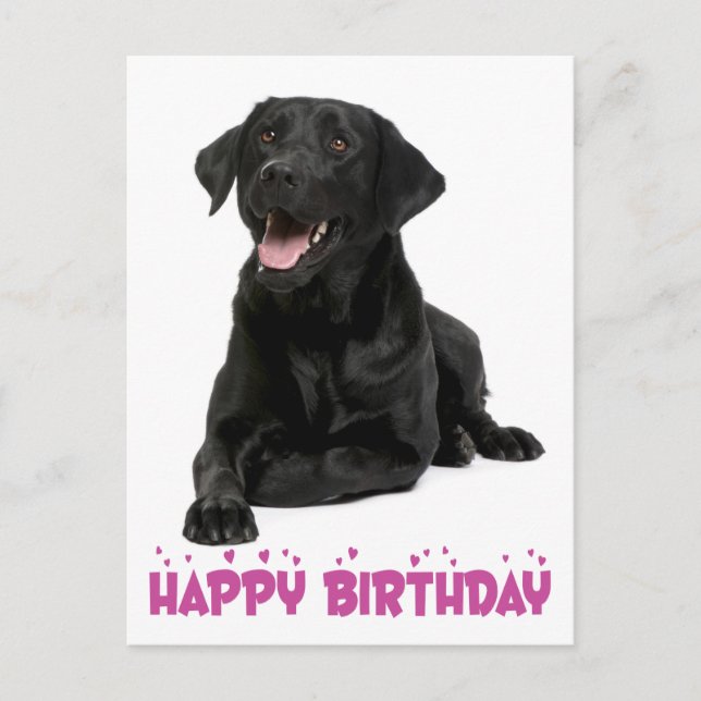 Postal Feliz cumpleaños, negro perro cachorro recuperador (Anverso)