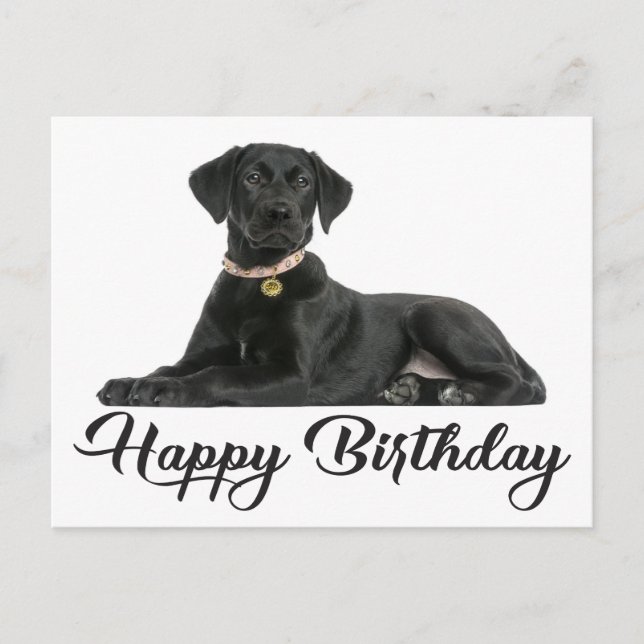 Postal Feliz cumpleaños, negro perro cachorro recuperador (Anverso)