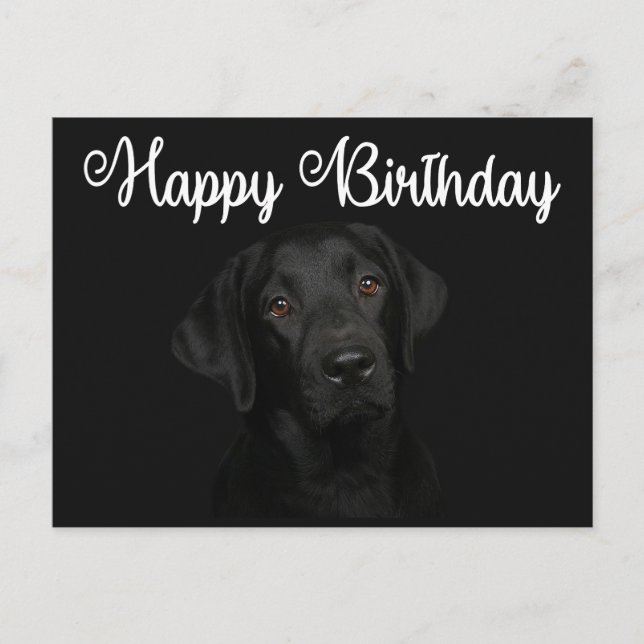 Postal Feliz cumpleaños, negro perro cachorro recuperador (Anverso)
