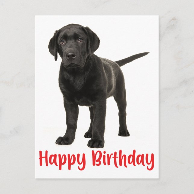 Postal Feliz cumpleaños, negro perro cachorro recuperador (Anverso)
