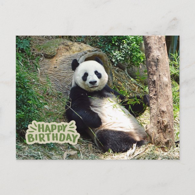 Postal Feliz Cumpleaños Oso Panda Gigante (Anverso)