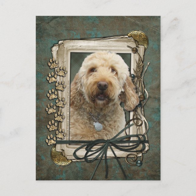 Postal Feliz cumpleaños - Papas de piedra - Golden Doodle (Anverso)