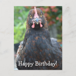 Postal Feliz cumpleaños... Partridge Cochin Postcar