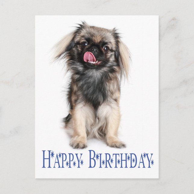 Postal Feliz cumpleaños, Pekingese cachorro azul (Anverso)