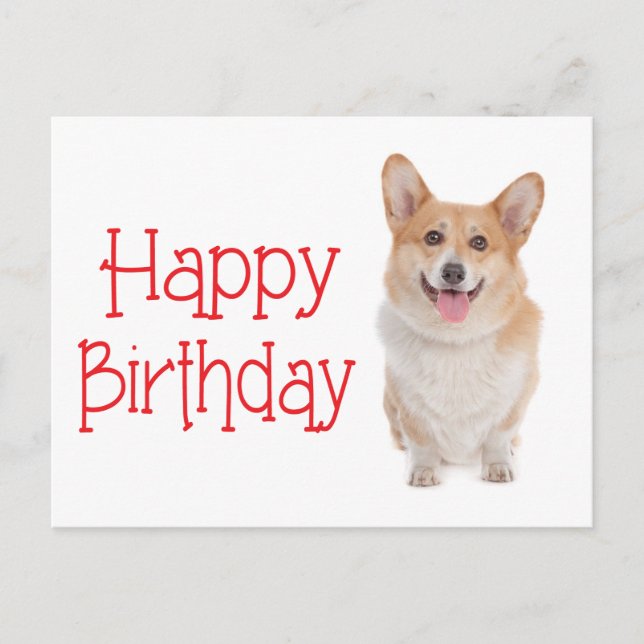 Postal Feliz cumpleaños Pembroke Corgi Perro cachorro pos (Anverso)