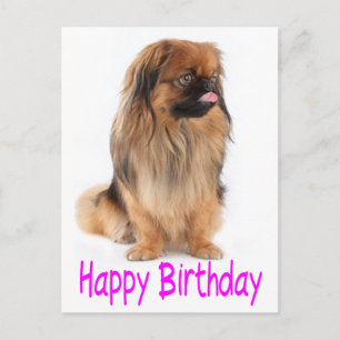 Postal Feliz Cumpleaños Perrito Fuchsia Púrpura