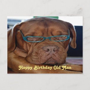 Postal Feliz cumpleaños perro anciano estampado