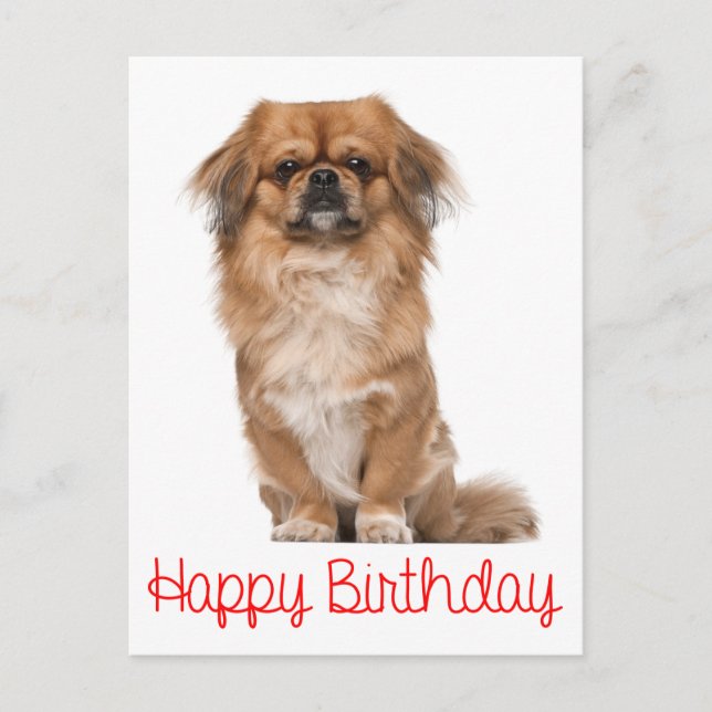 Postal Feliz cumpleaños Perro de cachorro pekingés (Anverso)