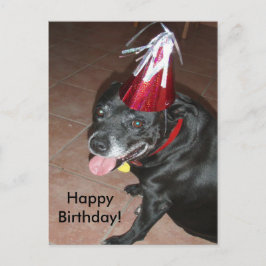 Postal Feliz cumpleaños, perro negro con Gorra rojo