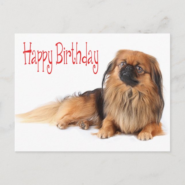 Postal Felíz cumpleaños Perro picante rojo (Anverso)