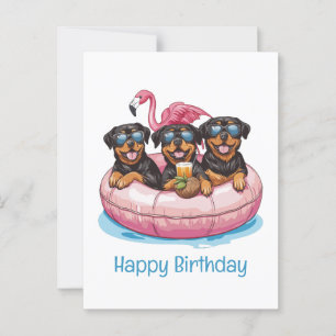 Postal Feliz Cumpleaños Perros Rottweiler Tubo de Piscina