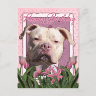 Postal Feliz cumpleaños - Pitbull - Chica de Jersey