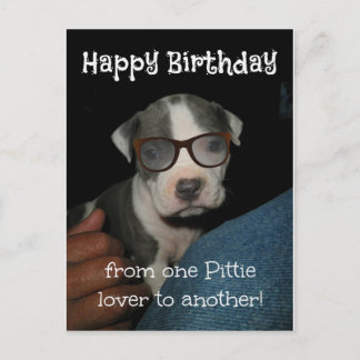 Postal Feliz cumpleaños Pittie