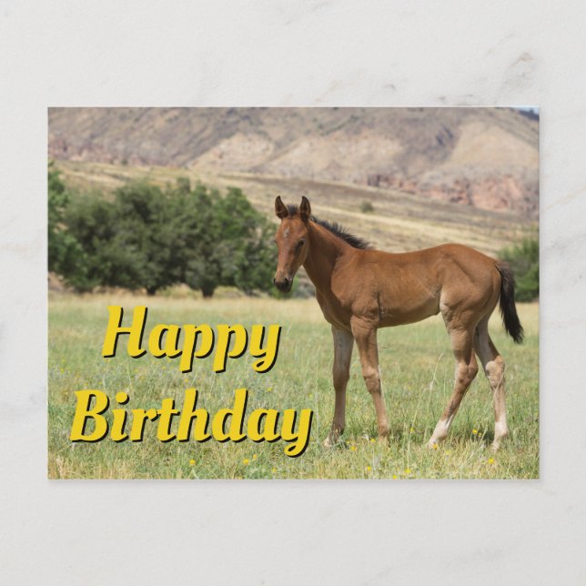 Postal Feliz cumpleaños por la comida (Anverso)
