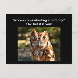 Postal Feliz Cumpleaños Postcard Eastern Screech Owl