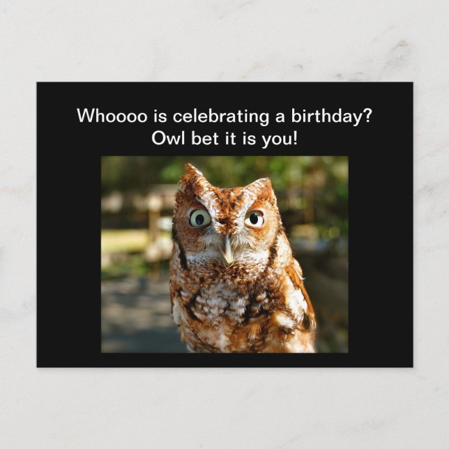 Postal Feliz Cumpleaños Postcard Eastern Screech Owl (Anverso)