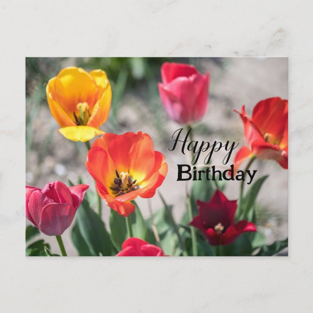 Postal ¡Feliz cumpleaños, quédate bendecido! (Anverso)