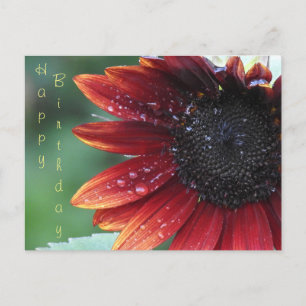 Postal Feliz cumpleaños, Red Sunflower