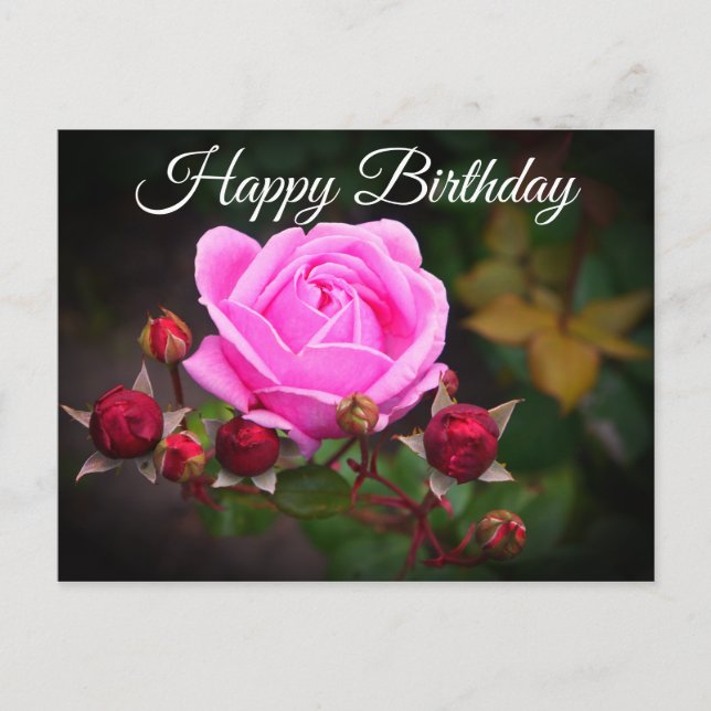 Postal Feliz cumpleaños, Rosa del castillo de Obispo #1 p (Anverso)