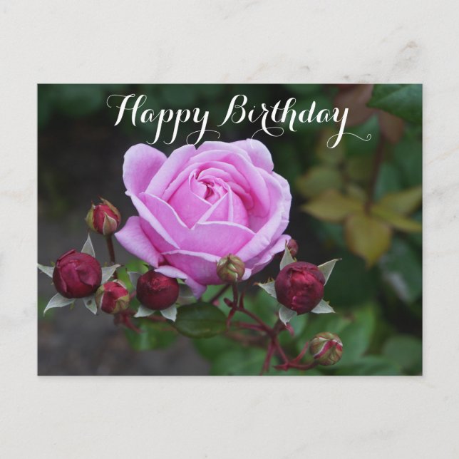 Postal Feliz cumpleaños, Rosa del castillo de Obispo #1 p (Anverso)