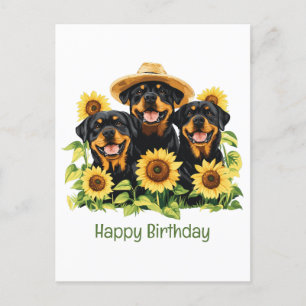 Postal Feliz cumpleaños Rottweiler Dogs Sunflowers