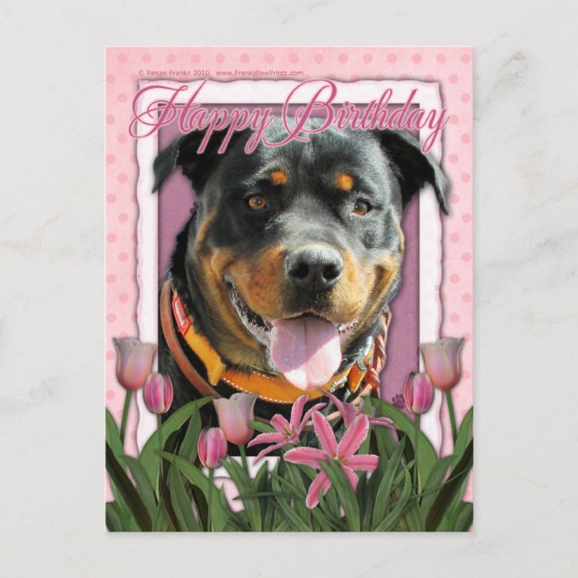 Postal Feliz cumpleaños - Rottweiler - SambaParTi (Anverso)