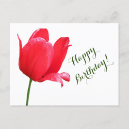 Postal Feliz cumpleaños tulipán rojo minimalista boho flo