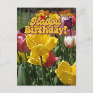 Postal Feliz Cumpleaños Tulipanes Amarillos y Rosas Flora